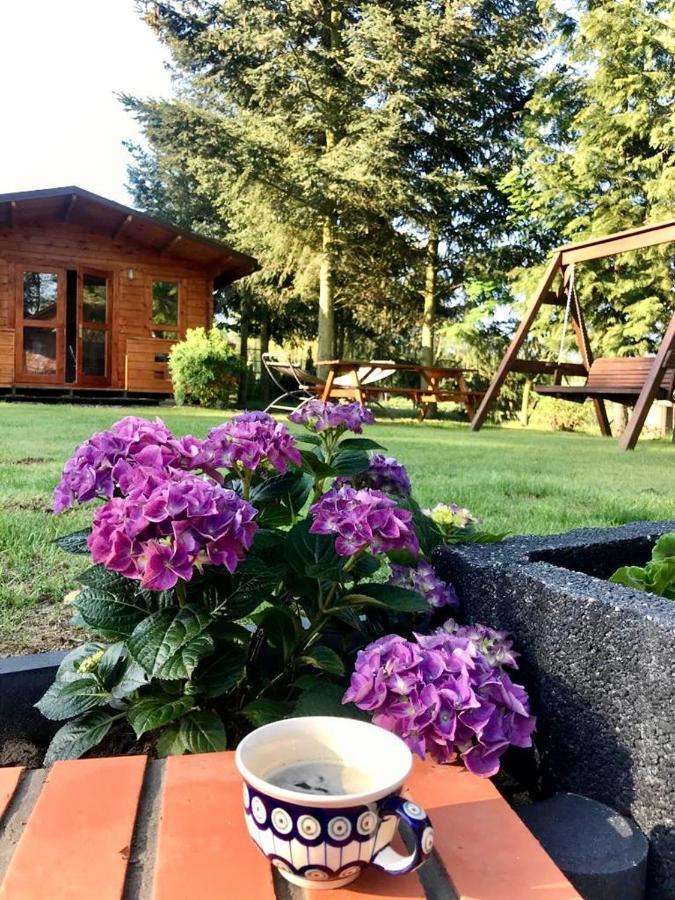 Osada Laskowo, Osrodek Laskowo Domki Nad Jeziorem Exteriér fotografie